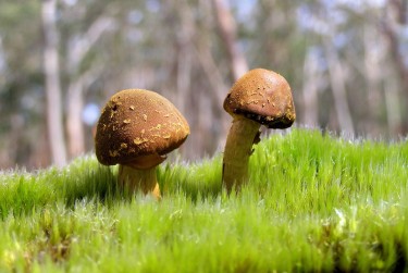 珠海金湾区9私人老板放款：轻松融资的秘密通道